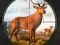 თამაში Wild Animal Hunting ონლაინ