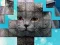 თამაში PicPu Cat ონლაინ
