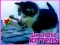 თამაში Six Little Kittens ონლაინ