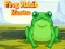 თამაში Frog Match Master ონლაინ