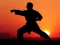 თამაში Karate Sunset Warriors ონლაინ