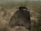 თამაში Tank Battle ონლაინ