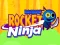 თამაში Rainbow Rocket Ninja ონლაინ