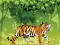 თამაში Angry Tiger Coloring ონლაინ
