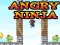 თამაში Angry Ninja ონლაინ