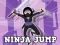 თამაში Ninja Jump ონლაინ