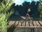 თამაში Bike Trial Xtreme Forest ონლაინ