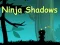 თამაში Ninja Shadows ონლაინ