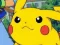თამაში Pokemon Collection ონლაინ