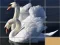თამაში Animals Slide Puzzle ონლაინ