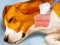 თამაში Dog Hospital ონლაინ