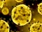 თამაში Coronavirus Slide ონლაინ