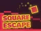 თამაში Square Escape ონლაინ