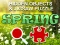 თამაში Hidjigs Spring ონლაინ