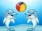 თამაში Dolphin Show ონლაინ