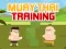 თამაში Muay Thai Training ონლაინ