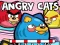 თამაში Angry Cats ონლაინ