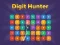 თამაში Digit Hunter ონლაინ