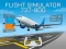 თამაში Flight Simulator 737-800 ონლაინ