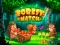 თამაში Forest Match ონლაინ