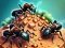 თამაში Ant Colony ონლაინ