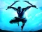 თამაში Shadow Ninja Revenge ონლაინ