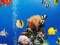 თამაში Sea Underwater Difference ონლაინ