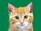 თამაში Idle Painter ონლაინ
