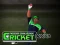თამაში Cricket Fielder Challenge ონლაინ