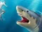 თამაში Shark Hunting ონლაინ