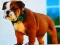 თამაში Bulldog Puppy Puzzle ონლაინ