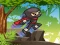 თამაში Ninja Jungle Adventures ონლაინ