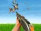 თამაში Bird Hunting ონლაინ