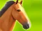 თამაში Horse Run 3D ონლაინ