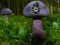 თამაში Mushroom Forest Adventure ონლაინ
