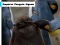 თამაში Emperor Penguin Jigsaw ონლაინ