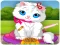 თამაში Vet Cat Clinic ონლაინ
