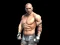 თამაში Fight Arena Online ონლაინ