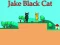 თამაში Jake Black Cat ონლაინ
