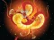თამაში Chinese Dragons Coloring ონლაინ