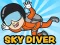 თამაში Skydiver ონლაინ