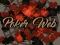 თამაში Poker Web ონლაინ