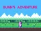 თამაში Bunn's Adventure ონლაინ