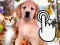 თამაში Pets Clicker ონლაინ