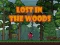 თამაში Lost in the Woods ონლაინ