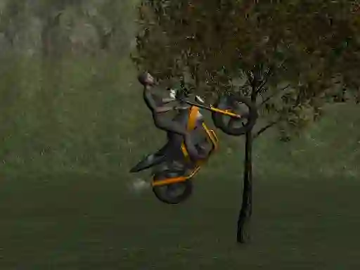 თამაში Mountain Bike Rider ონლაინ