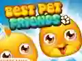 თამაში Best Pet Friends ონლაინ