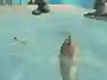 თამაში Shark Simulator Beach Killer ონლაინ