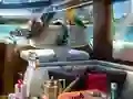 თამაში Caribbean Crime ონლაინ