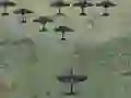 თამაში Wings Of Glory ონლაინ